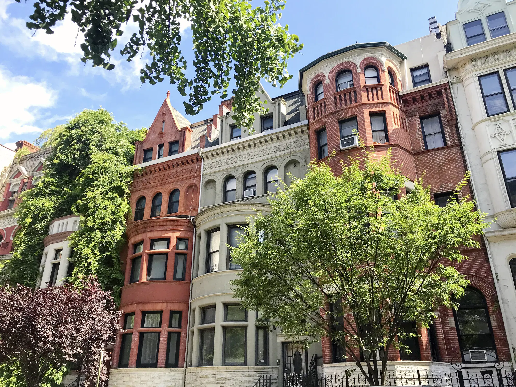 header background